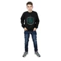 Miniatyrbilde 3 av 5: Harry Potter Boys Slytherin Cotton Sweatshirt