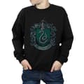 Miniatyrbilde 5 av 5: Harry Potter Boys Slytherin Cotton Sweatshirt