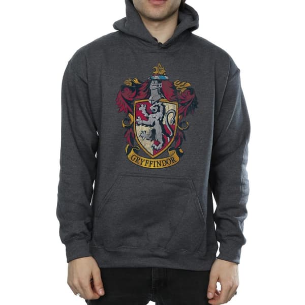 Harry Potter Gryffindor-hoodie för herrar