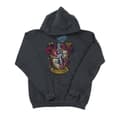 Miniatyrbild 1 av 5: Harry Potter Gryffindor-hoodie för herrar