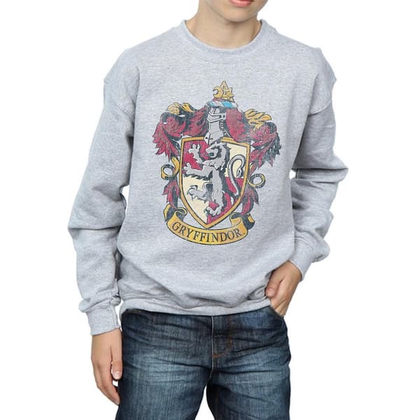 Harry Potter Boys Gryffindor Sweatshirt