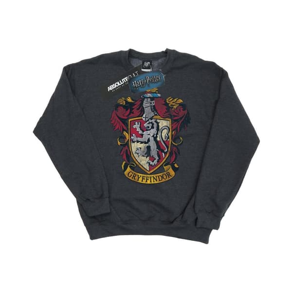 Harry Potter Boys Gryffindor Sweatshirt