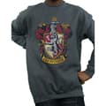 Miniatyrbilde 3 av 5: Harry Potter Boys Gryffindor Sweatshirt