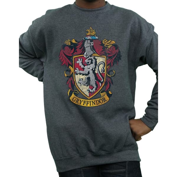 Harry Potter Boys Gryffindor Sweatshirt