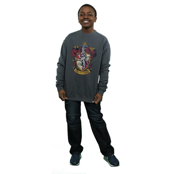 Harry Potter Boys Gryffindor Sweatshirt