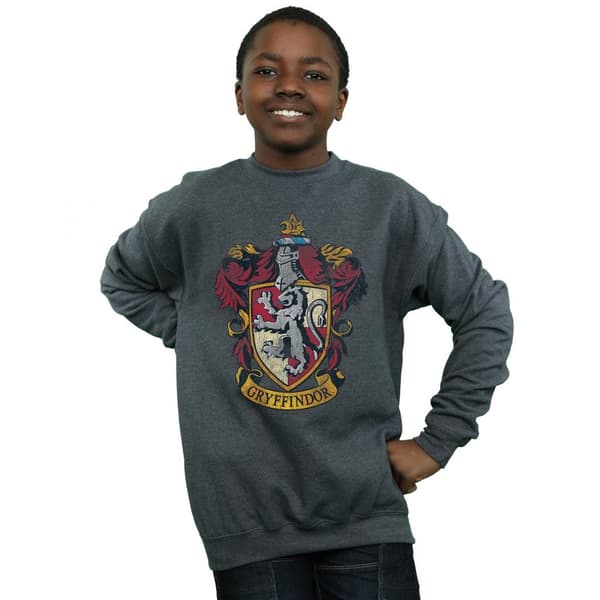 Harry Potter Boys Gryffindor Sweatshirt