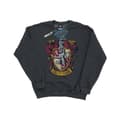 Miniatyrbilde 1 av 5: Harry Potter Boys Gryffindor Sweatshirt