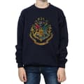 Pikkukuva 1 / 5: Harry Potter Boys Hogwarts Houses Cotton Sweatshirt
