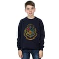 Pikkukuva 2 / 5: Harry Potter Boys Hogwarts Houses Cotton Sweatshirt