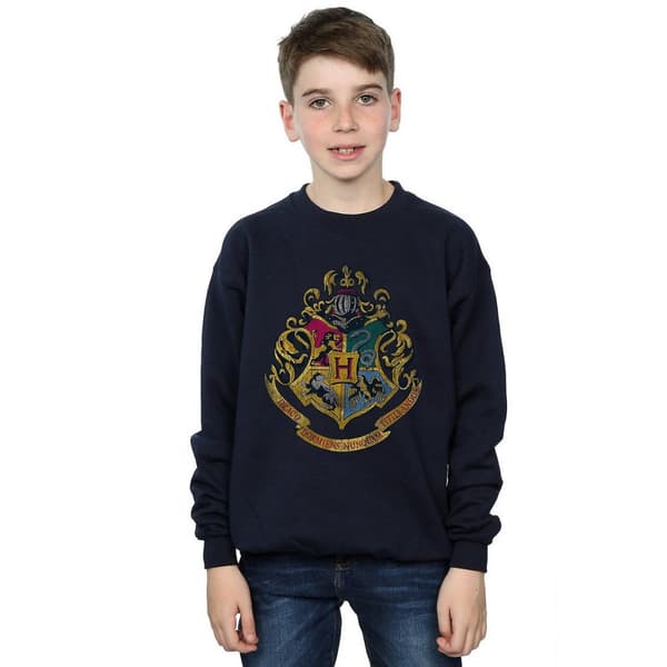 Harry Potter Boys Hogwarts Houses Cotton Sweatshirt