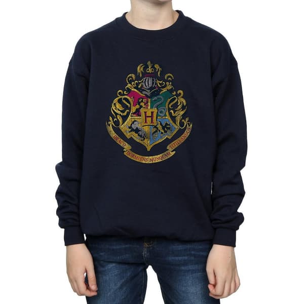 Harry Potter Boys Hogwarts Houses Cotton Sweatshirt