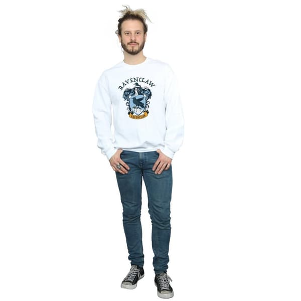 Harry Potter Ravenclaw-tröja, herr