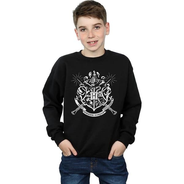 Harry Potter Boys Hogwarts Crest Wands Sweatshirt