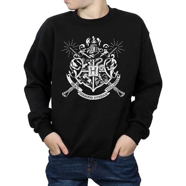 Harry Potter Boys Hogwarts Crest Wands Sweatshirt