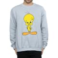 Miniatyrbillede 2 af 5: Looney Tunes Mens Angry Tweety Sweatshirt