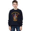 Miniatyrbillede 3 af 5: Harry Potter Boys Gryffindor Cotton Sweatshirt
