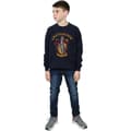 Miniatyrbillede 5 af 5: Harry Potter Boys Gryffindor Cotton Sweatshirt