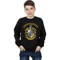 Miniatyrbillede 4 af 5: Harry Potter Boys Gryffindor Cotton Sweatshirt