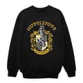 Miniatyrbillede 1 af 5: Harry Potter Boys Gryffindor Cotton Sweatshirt