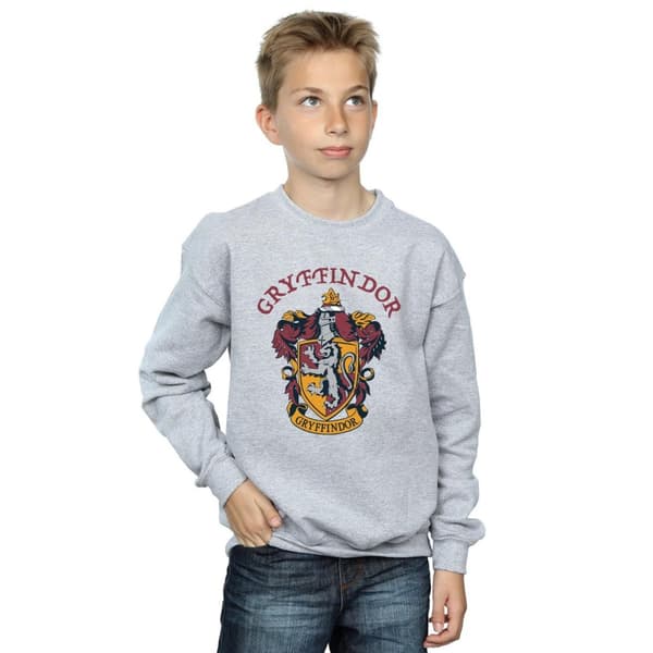 Harry Potter Boys Gryffindor Cotton Sweatshirt
