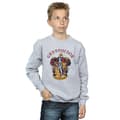 Miniatyrbillede 3 af 5: Harry Potter Boys Gryffindor Cotton Sweatshirt
