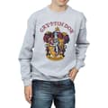 Miniatyrbillede 4 af 5: Harry Potter Boys Gryffindor Cotton Sweatshirt