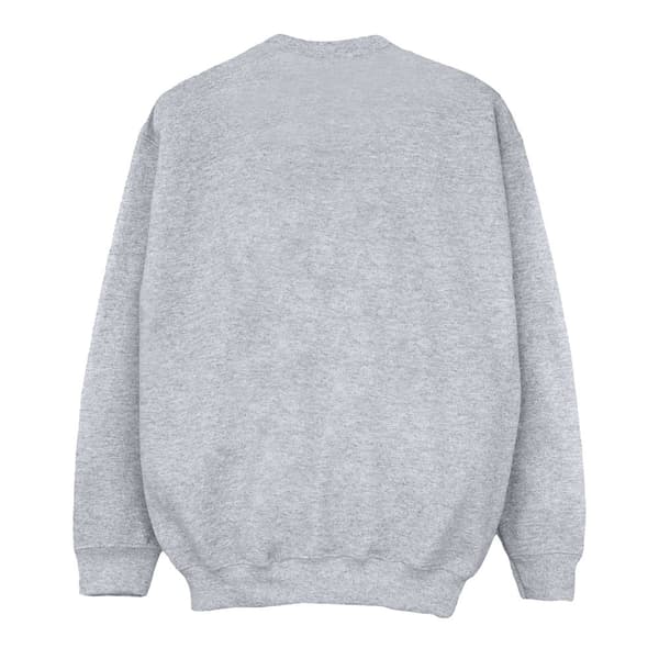 Harry Potter Boys Gryffindor Cotton Sweatshirt