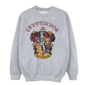 Miniatyrbillede 1 af 5: Harry Potter Boys Gryffindor Cotton Sweatshirt