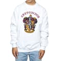 Miniatyrbillede 4 af 5: Harry Potter Boys Gryffindor Cotton Sweatshirt