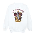 Miniatyrbillede 1 af 5: Harry Potter Boys Gryffindor Cotton Sweatshirt