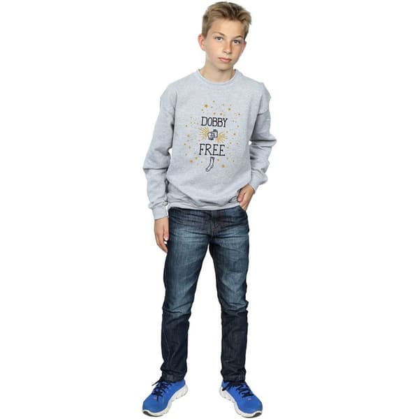 Harry Potter Boys Dobby Is Free Sweatshirt