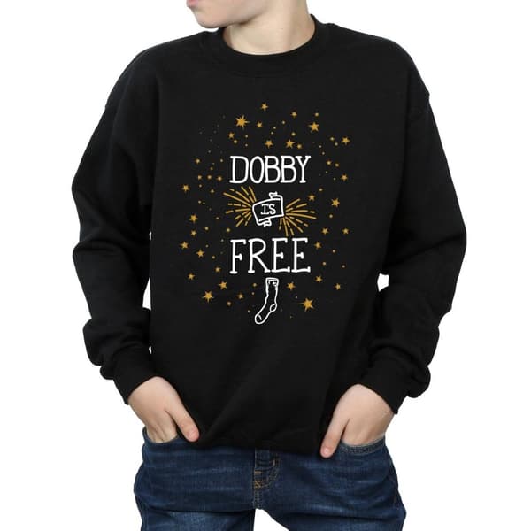 Harry Potter Boys Dobby Is Free Sweatshirt