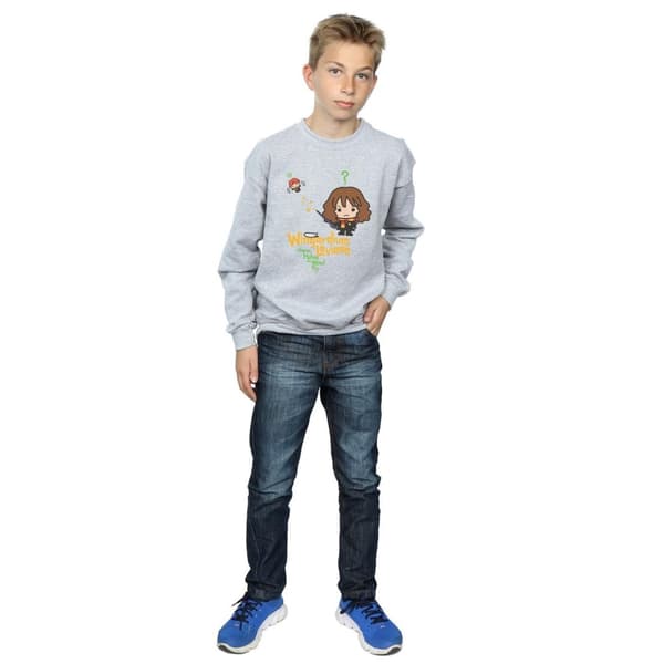 Harry Potter Boys Wingardium Leviosa Hermione Sweatshirt