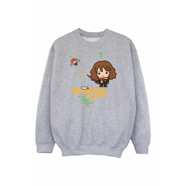 Harry Potter Boys Wingardium Leviosa Hermione Sweatshirt