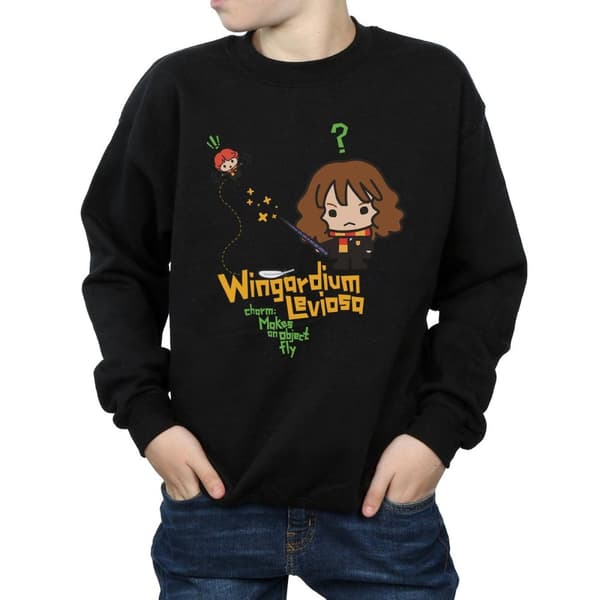 Harry Potter Boys Wingardium Leviosa Hermione Sweatshirt