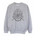 Miniatyrbillede 1 af 5: Harry Potter Girls Hogwarts Crest Wands Sweatshirt