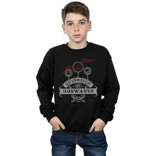 Harry Potter Boys Quidditch At Hogwarts Sweatshirt