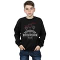 Miniatyrbillede 5 af 5: Harry Potter Boys Quidditch At Hogwarts Sweatshirt