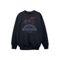 Miniatyrbillede 1 af 5: Harry Potter Boys Quidditch At Hogwarts Sweatshirt