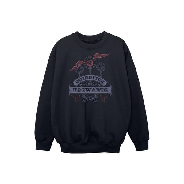 Harry Potter Boys Quidditch At Hogwarts Sweatshirt