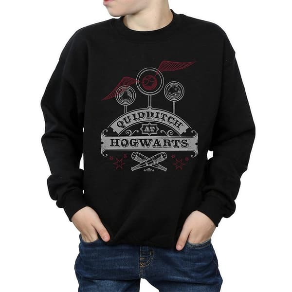 Harry Potter Boys Quidditch At Hogwarts Sweatshirt