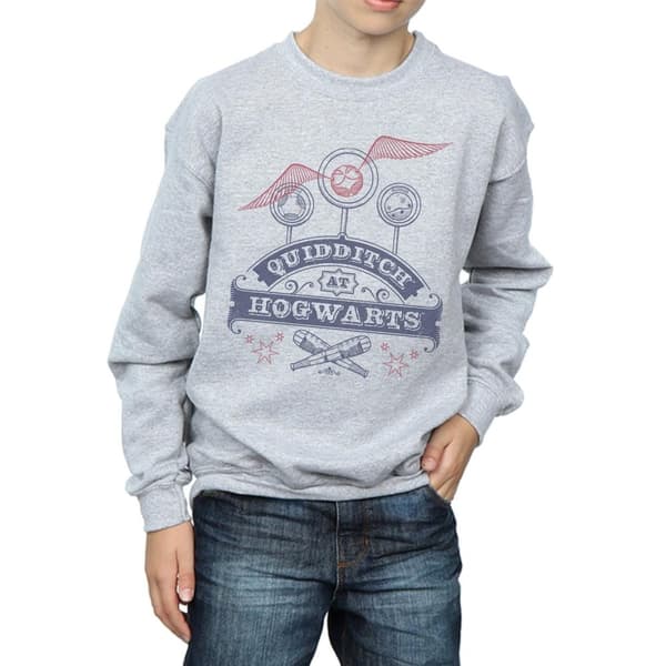 Harry Potter Boys Quidditch At Hogwarts Sweatshirt