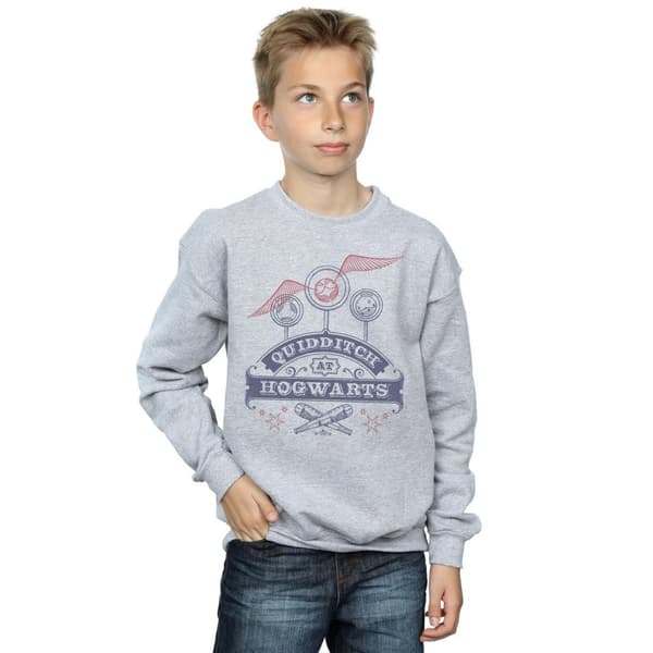 Harry Potter Boys Quidditch At Hogwarts Sweatshirt