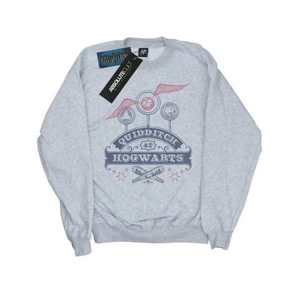 Harry Potter Boys Quidditch At Hogwarts Sweatshirt Sports Grey 5-6 Years