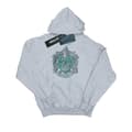 Miniatyrbillede 1 af 5: Harry Potter Mens Slytherin Cotton Hoodie