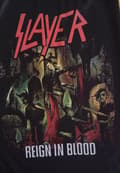 Miniatyrbilde 4 av 4: Slayer Reign in Blood Genser / Sweatshirt