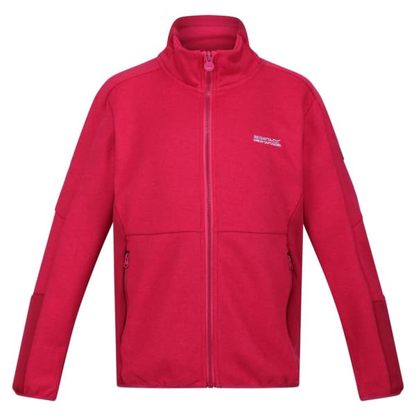 Regatta Childrens/Kids Highton IV Full Zip Fleece Jacket