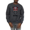 Miniatyrbild 3 av 5: Marvel Sweatshirt med hjälm för Mens Ant-Man