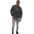 Miniatyrbild 4 av 5: Marvel Sweatshirt med hjälm för Mens Ant-Man
