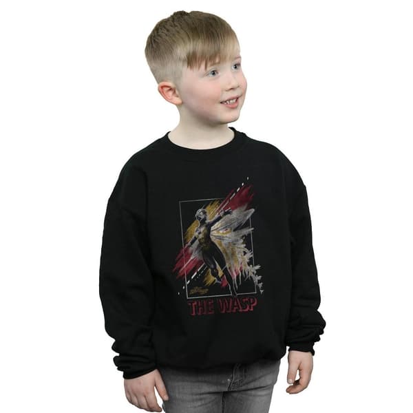 Marvel Boys Ant-Man And The Wasp Framed Wasp Sweatshirt